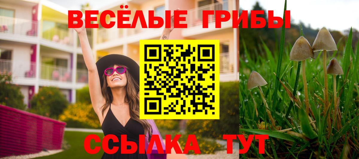 Каменск-Уральский  Псилоцибиновые грибы Cubensis  магазин  наркотиков  Вход с VPN 